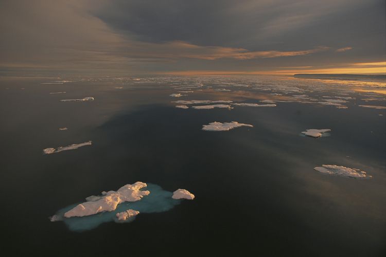 Работы Paul Nicklen (67 фото)